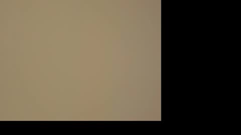 kiwi_mmm online show from January 10, 2025, 6:49 pm