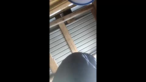 klara_belle online show from February 2, 2026, 12:48 pm