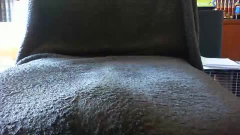 Snapshot of kledenn chatting on October 25, 2025, 10:23 am kledenn online show from October 25, 2025, 10:23 am