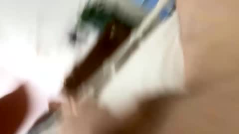 Snapshot of klimt2525 chatting on January 12, 2026, 2:11 pm klimt2525 online show from January 12, 2026, 2:11 pm