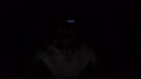 Snapshot of kobolt67 chatting on October 9, 2025, 4:54 am kobolt67 online show from October 9, 2025, 4:54 am