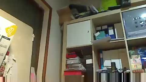 kokin3034 online show from February 2, 2026, 6:01 am