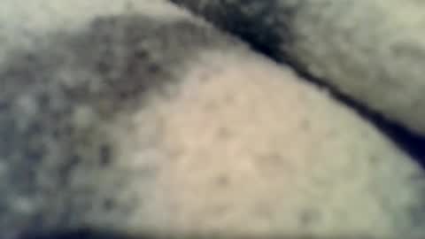 kolo679754253457 online show from February 4, 2026, 7:42 pm