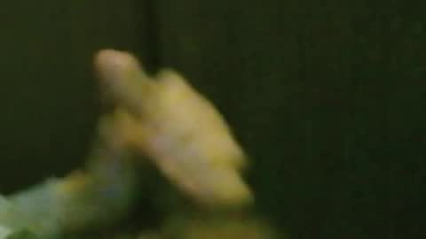 Snapshot of kren565656 chatting on October 20, 2025, 8:26 am kren565656 online show from October 20, 2025, 8:26 am