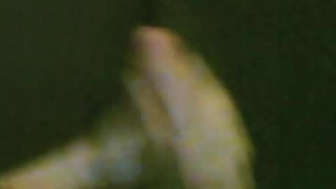 kren565656 online show from August 3, 2026, 11:19 pm