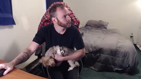 Kuggy online show from December 7, 2024, 4:25 pm