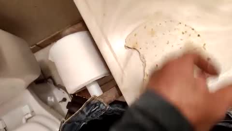 kumnnkevsuks4 online show from January 16, 2025, 8:14 pm