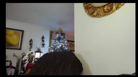 Snapshot of kyhara chatting on December 23, 2024, 1:51 am kyhara online show from December 23, 2024, 1:51 am