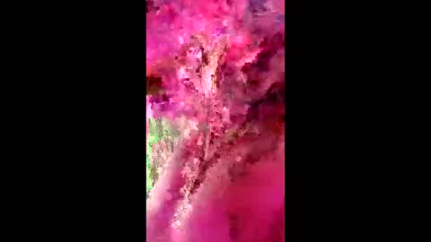 Snapshot of kyle40kal40 chatting on March 28, 2026, 10:48 am kyle40kal40 online show from March 28, 2026, 10:48 am