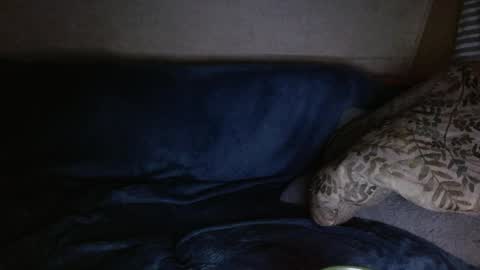 Kyle chat online show from April 4, 2026, 6:33 am