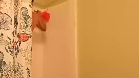 kyleisabadname online show from October 20, 2025, 12:44 am