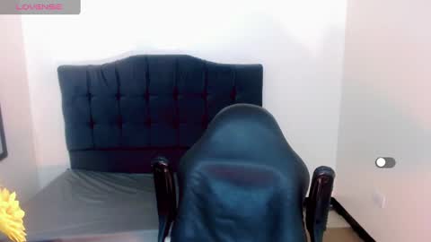 AriSaray online show from December 28, 2024, 1:08 am