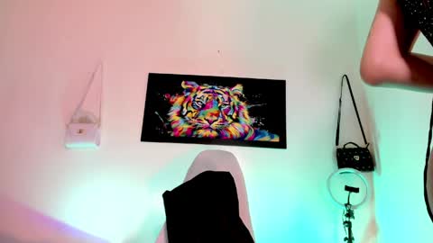 AriSaray online show from June 8, 2026, 11:21 am