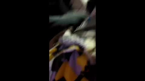 labran817 online show from April 11, 2026, 11:47 am