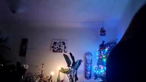 lacybell online show from December 19, 2025, 10:00 am