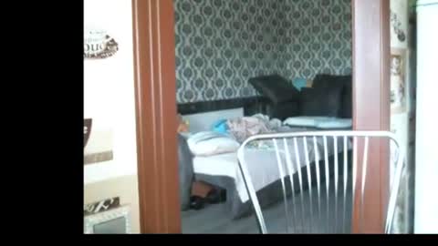 lady cute cat29 online show from June 23, 2026, 2:53 am