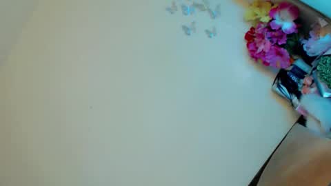 Snapshot of lady_in_black18 chatting on February 23, 2025, 10:53 pm Stella online show from February 23, 2025, 10:53 pm