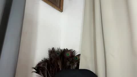 Snapshot of ladylollipop_marls chatting on March 10, 2026, 10:31 am ladylollipop_marls online show from March 10, 2026, 10:31 am