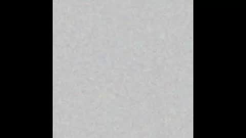 Snapshot of lahurent_weed420 chatting on November 12, 2025, 10:04 am paola and a guest lol online show from November 12, 2025, 10:04 am