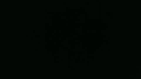 ANNIE online show from December 1, 2025, 5:45 am