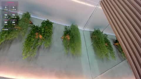 lana_lann online show from September 24, 2025, 11:57 am