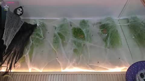 lana_lann online show from October 30, 2025, 2:40 pm