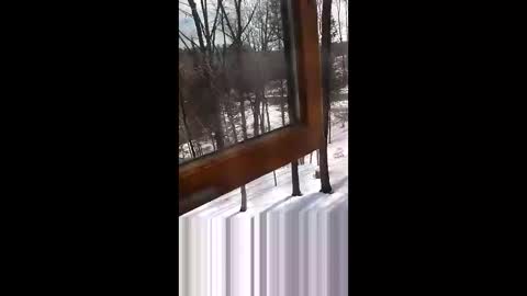 langederek2 online show from March 19, 2026, 3:27 pm