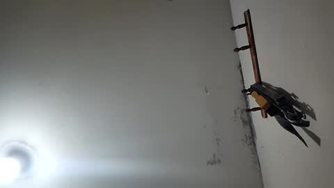 CHARLES ROBERT online show from December 20, 2025, 3:30 pm