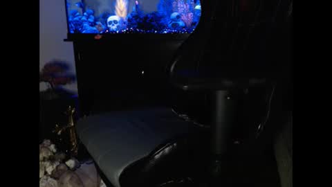 latinlover513 online show from February 6, 2025, 12:48 pm