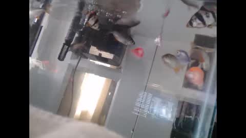 latinlover513 online show from March 2, 2025, 10:16 pm