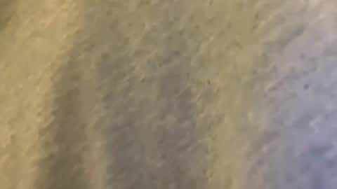 Snapshot of latn_73 chatting on March 9, 2026, 1:42 am Mexakin online show from March 9, 2026, 1:42 am