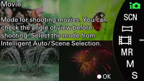 Snapshot of laureencadriel chatting on September 24, 2025, 8:39 am Monica online show from September 24, 2025, 8:39 am