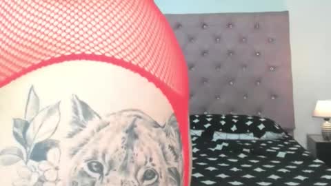 laurenlaine online show from May 23, 2026, 3:38 pm