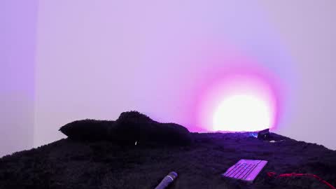 Snapshot of laurensmith9 chatting on September 26, 2025, 12:42 pm laurensmith9 online show from September 26, 2025, 12:42 pm