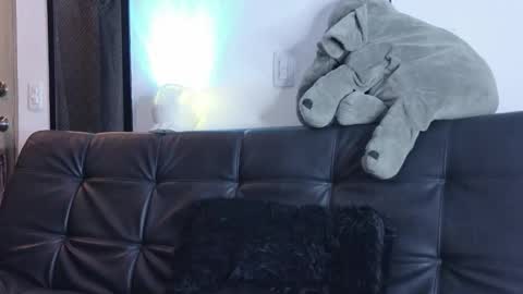    online show from March 14, 2026, 1:23 am