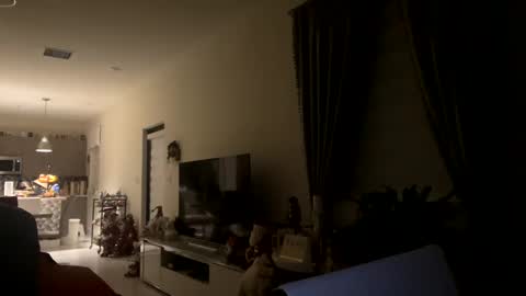 Snapshot of law_cambio chatting on December 31, 2024, 11:31 am law_cambio online show from December 31, 2024, 11:31 am