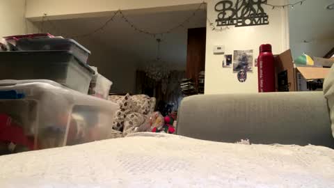 lawrencegreg106 online show from September 25, 2025, 1:09 am