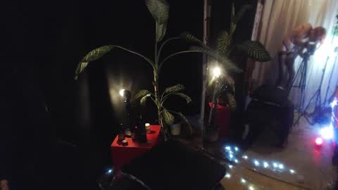 Snapshot of laye19 chatting on October 8, 2025, 4:32 am Laye19 online show from October 8, 2025, 4:32 am