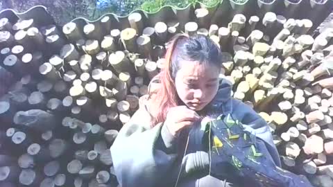 layla_999 online show from January 12, 2026, 2:06 am