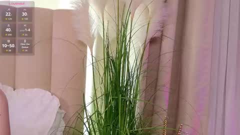 Snapshot of layla_bloom chatting on January 31, 2026, 7:11 pm Your sweet girl-next-door online show from January 31, 2026, 7:11 pm