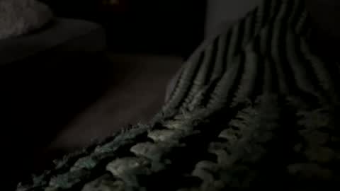 lc6173 online show from December 15, 2025, 8:13 pm