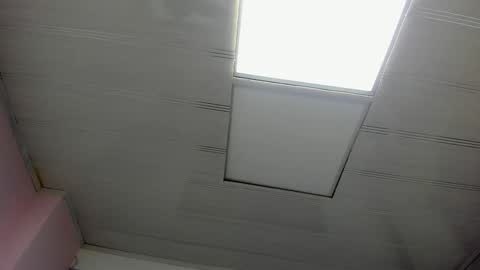 Snapshot of leamoreau__ chatting on November 8, 2025, 11:21 am leamoreau__ online show from November 8, 2025, 11:21 am