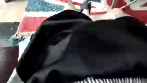 leatherpants68 online show from July 18, 2026, 8:40 am