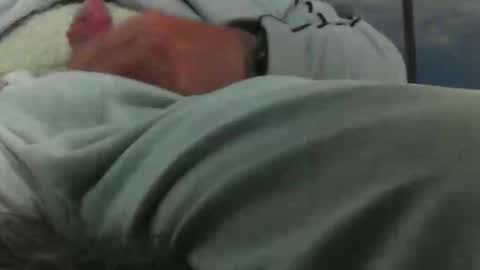 Snapshot of leckfreund53 chatting on October 3, 2025, 7:38 am leckfreund53 online show from October 3, 2025, 7:38 am