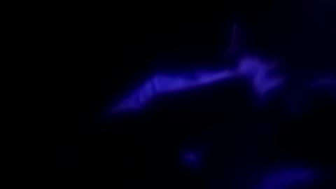 Snapshot of leemen33 chatting on September 30, 2025, 9:14 am Michael online show from September 30, 2025, 9:14 am