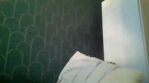 Snapshot of leeuwarder12 chatting on November 20, 2025, 7:35 pm leeuwarder12 online show from November 20, 2025, 7:35 pm