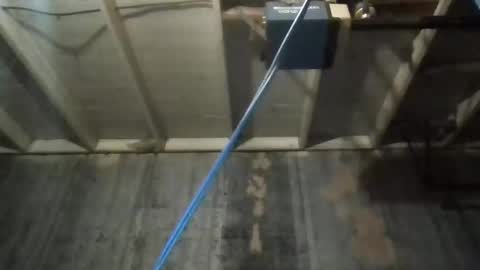 leo199984 online show from November 27, 2025, 4:47 am