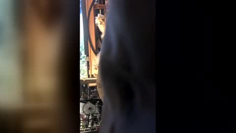 Leon online show from February 27, 2026, 8:42 pm