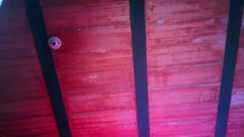 Lenardo jaramillo online show from December 13, 2024, 1:01 pm