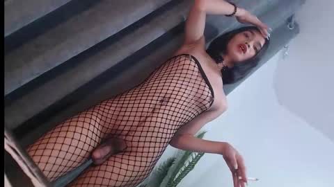 Trisha18 online show from January 21, 2025, 8:32 pm